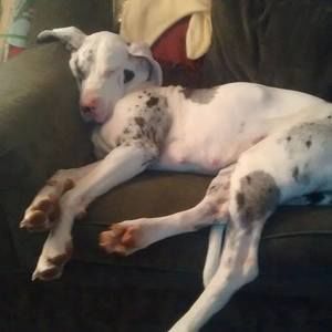 Meet your Posher, Laura